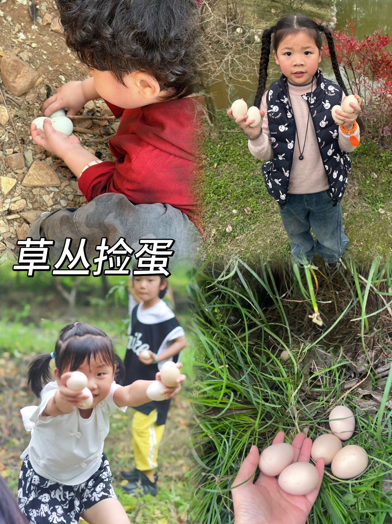 花朵山亲子营地